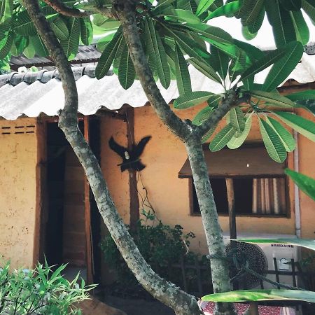 Tiddin Resort Chiang Mai Ngoại thất bức ảnh